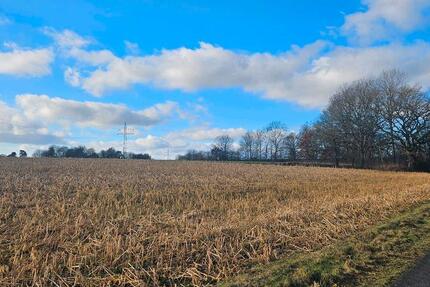 Wohnung Frankenberg (Eder) - 3 Zimmer, 77 m&sup2;, 725&euro; | Angebot:24774670