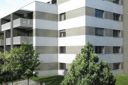 2 Zimmer-NeubauWohnung in FN-Jettenhausen