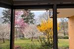Terrassenwohnung Ebersburg - 2 Zimmer, 86 m&sup2;, 930&euro; | Angebot:26490255