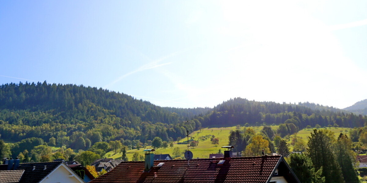 Großzügige Dachgeschosswohnung mit Garten und Klimaanlage. - 3.5 Baden-Baden / Oberbeuern Oberbeuern | Angebot:27161126
