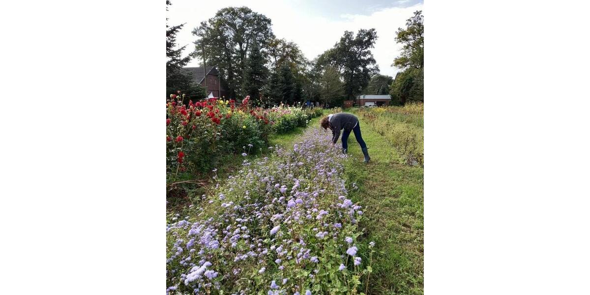 Wohnen auf Zeit Oelde - 1 Zimmer, 15 m&sup2;, 170&euro; | Angebot:25151773