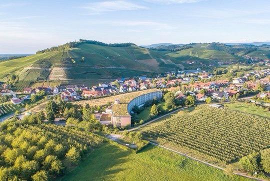 Etagenwohnung Durbach - 2 Zimmer, 42 m&sup2;, 800&euro; | Angebot:26003064