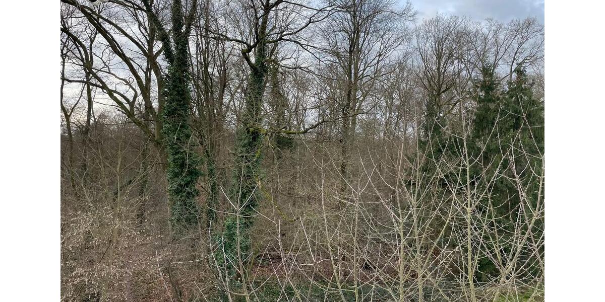 Gemütliche Dachgeschosswohnung 3.5 zimmer