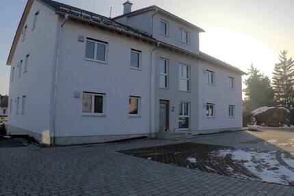1 Zimmer Wohung KFW40+ 53m²