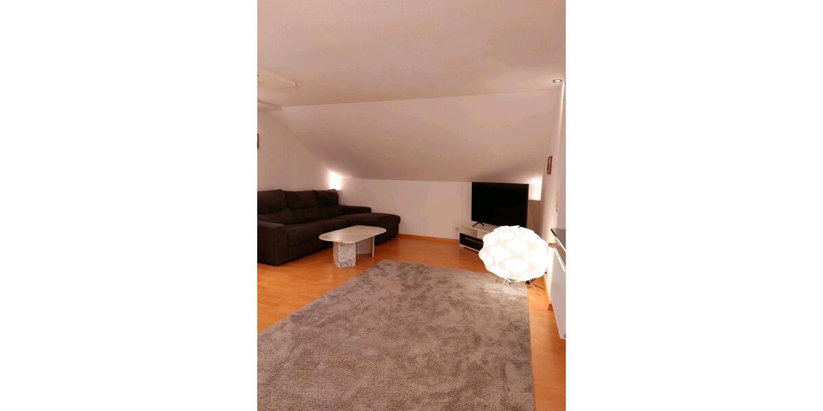 Dachgeschoßwohnung Singen (Hohentwiel) - 3 Zimmer, 80 m&sup2;, 100&euro; | Angebot:26615331
