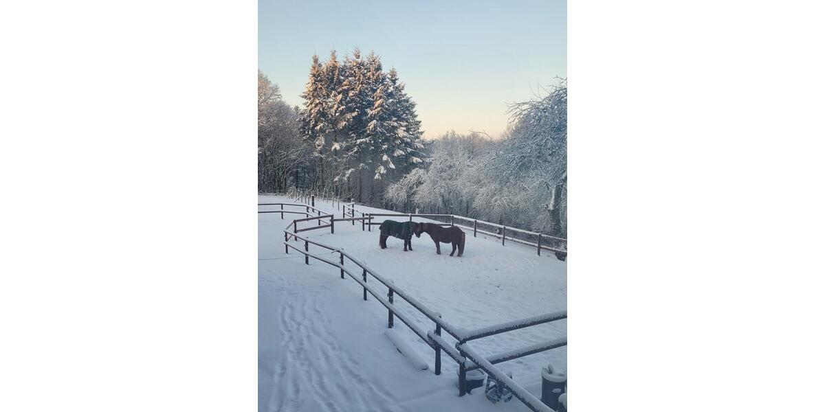 Etagenwohnung Pelm - 1 Zimmer, 16 m&sup2;, 450&euro; | Angebot:25323598