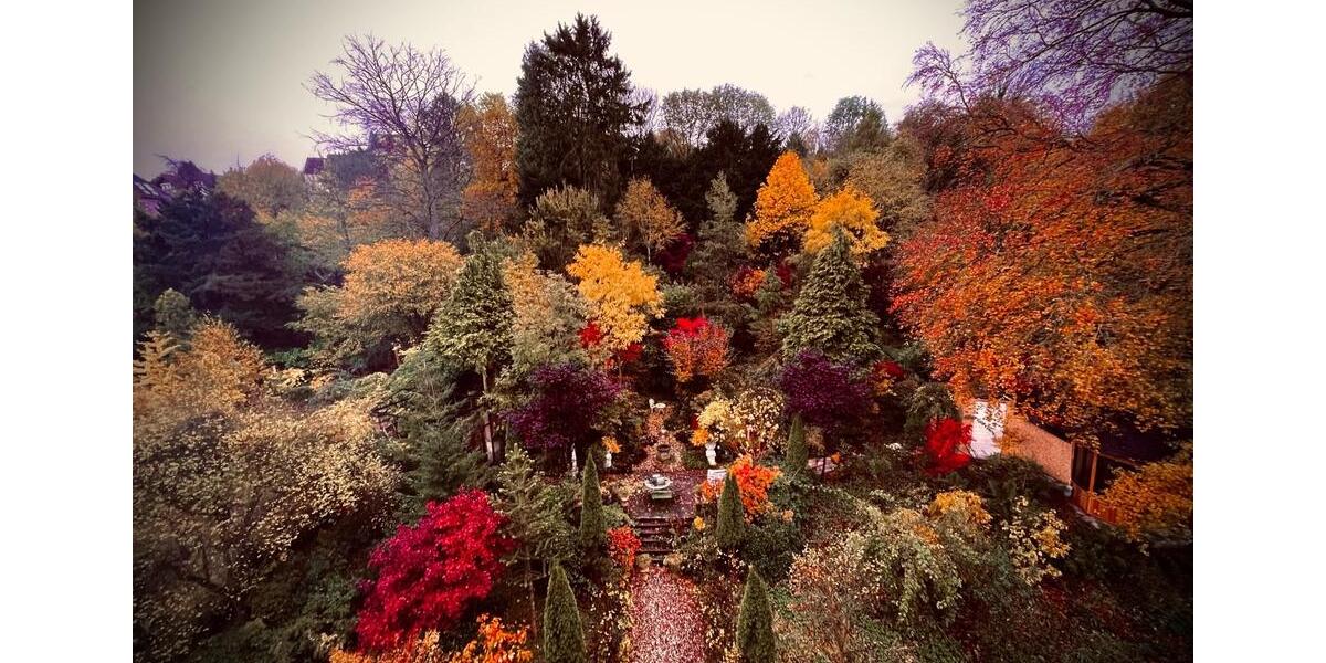 Wohnen auf Zeit Velbert Langenberg - 1 Zimmer, 25 m&sup2;, 399&euro; | Angebot:26051031