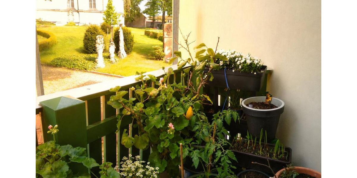 Etagenwohnung Strehla - 2 Zimmer, 50 m&sup2;, 290&euro; | Angebot:26606775