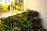 Etagenwohnung Strehla - 2 Zimmer, 50 m&sup2;, 290&euro; | Angebot:26606775