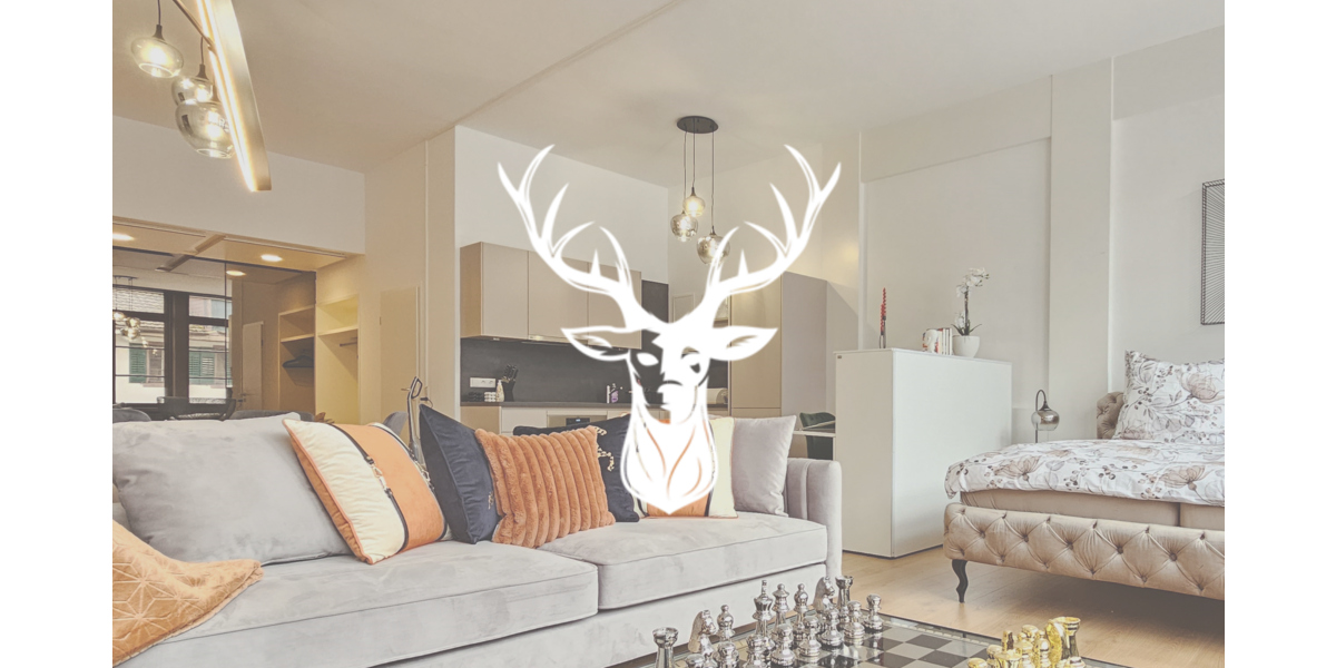 Etagenwohnung Waldshut- Tiengen Tiengen - 1 Zimmer, 65 m&sup2;, 1.750&euro; | Angebot:14433864