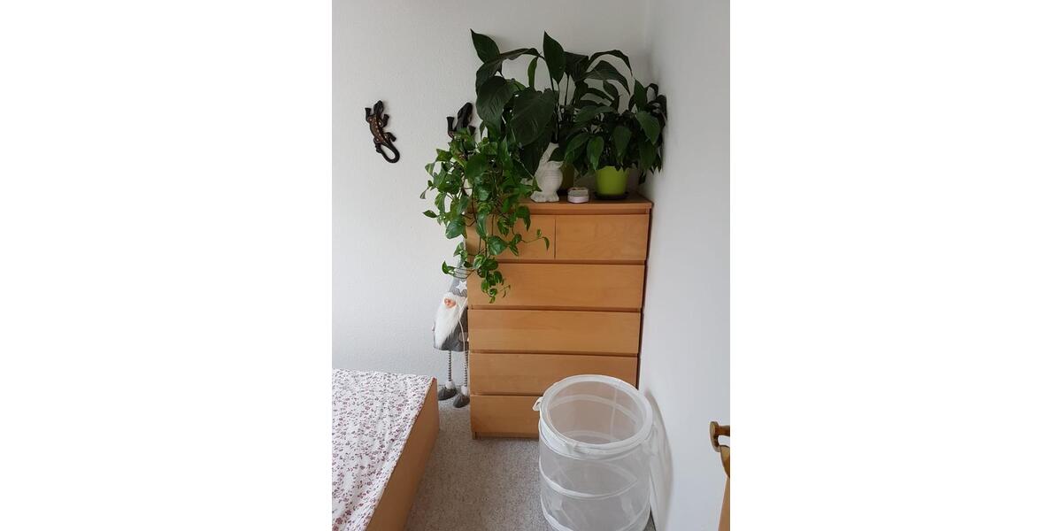 2-Zimmer-Wohnung in Kröslin mit Parkplatz & Gartennutzung 48 m2 2 zimmer