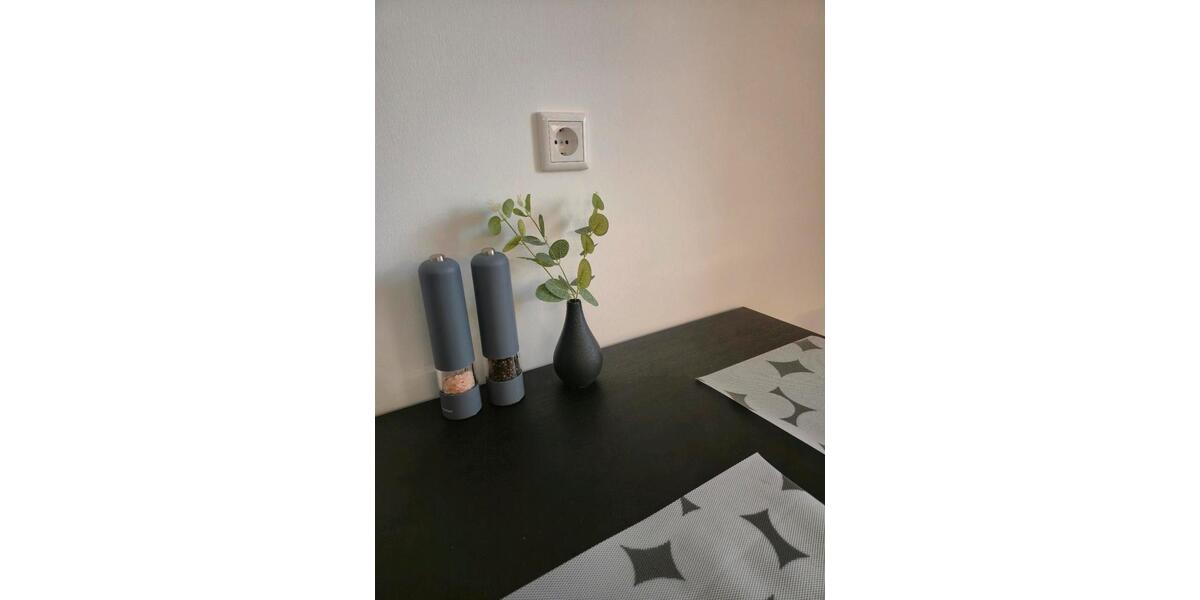 Wohnen auf Zeit Nürnberg Eberhardshof - 1 Zimmer, 13 m&sup2;, 600&euro; | Angebot:24698304