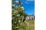 Gewerbeobjekt Usedom - 1.600&euro; | Angebot:26561112