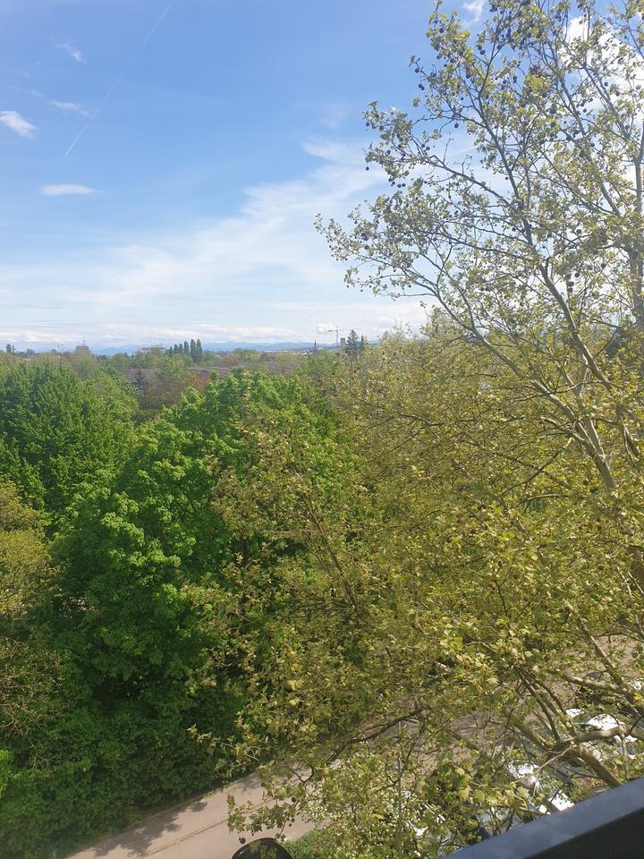 2 Zimmerwohnung Konstanz