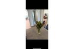 Etagenwohnung Stuttgart Stuttgart-West - 1 Zimmer, 20 m&sup2;, 715&euro; | Angebot:26197578