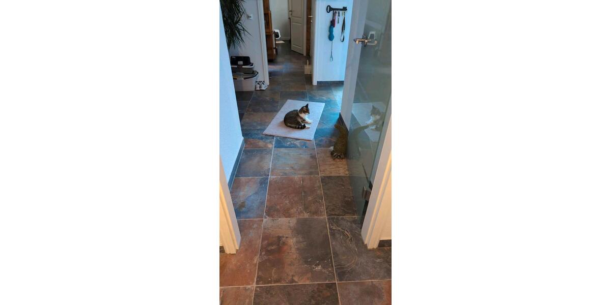 Erdgeschoßwohnung Halberstadt - 3 Zimmer, 96 m&sup2;, 710&euro; | Angebot:25783054