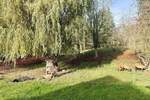 Einfamilienhaus Seegebiet Mansfelder Land Hornburg - 4 Zimmer, 115 m&sup2;, 1.100&euro; | Angebot:26358741