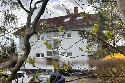 Wohnung Landsberg Queis - 3 Zimmer, 76 m&sup2;, 500&euro; | Angebot:27225176