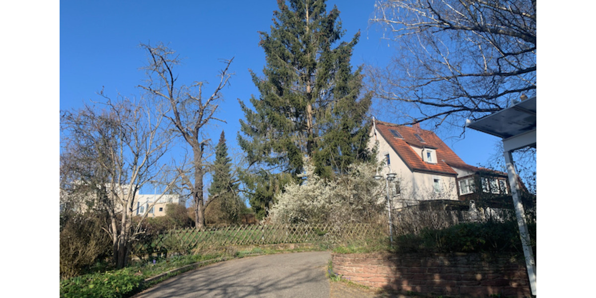 Haus statt Wohnung mieten - Renoviertes EFH mit grossem Garten 4 zimmer