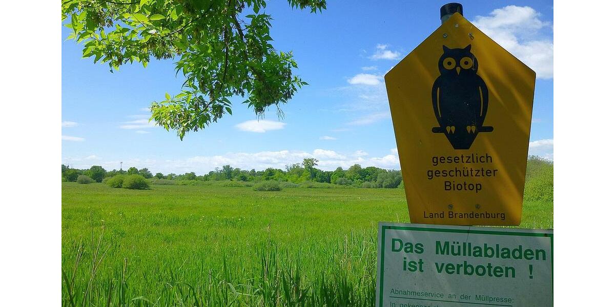 Etagenwohnung Brandenburg an der Havel Bahnhofsvorstadt - 1 Zimmer, 30 m&sup2;, 200&euro; | Angebot:15330966