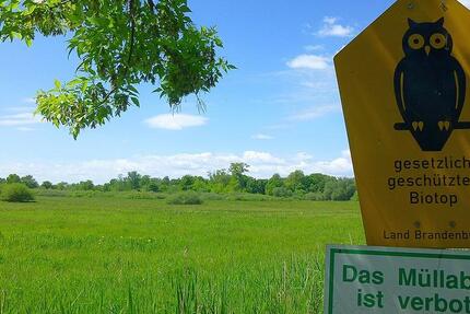 Wohnung Brandenburg an der Havel Bahnhofsvorstadt - 1 Zimmer, 30 m&sup2;, 200&euro; | Angebot:15330966