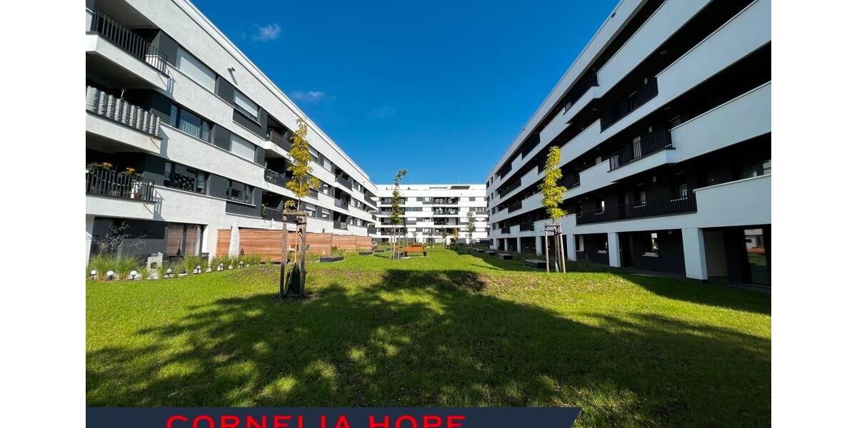 Erdgeschoßwohnung Halle (Saale) Damaschkestraße - 2 Zimmer, 64 m&sup2;, 740&euro; | Angebot:25265882