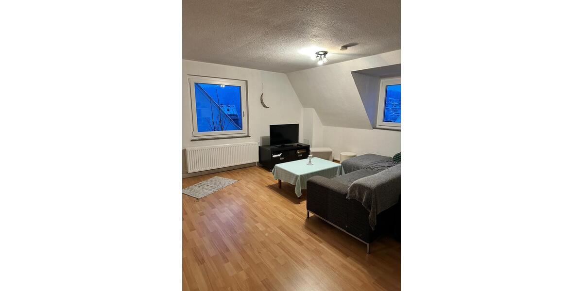 Wohnen auf Zeit Siegen Kaan-Marienborn - 1 Zimmer, 20 m&sup2;, 389&euro; | Angebot:26244039