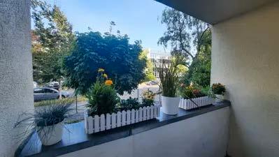 Erdgeschoßwohnung Köln Nippes - 2 Zimmer, 55 m&sup2;, 750&euro; | Angebot:26235822