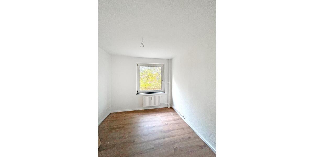 Erdgeschoßwohnung Munster - 3 Zimmer, 62 m&sup2;, 585&euro; | Angebot:23299661