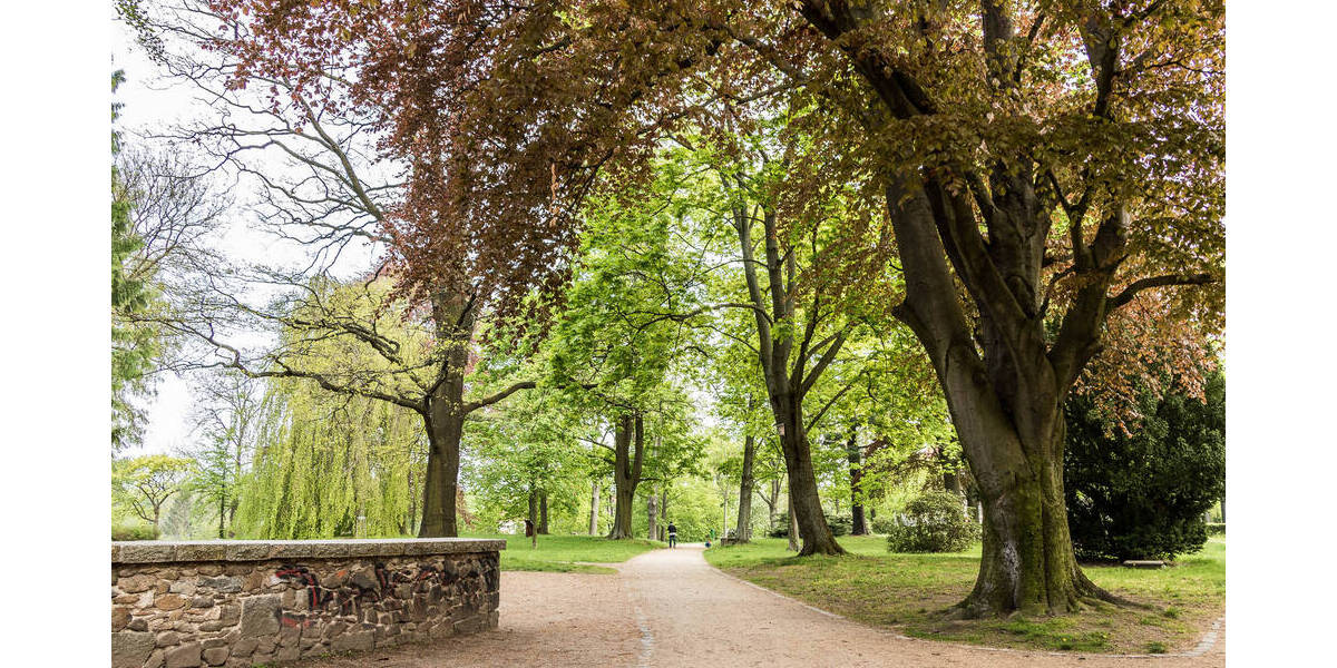 Zimmer Löbau Altlöbau - 4 Zimmer, 110 m&sup2;, 665&euro; | Angebot:26118089