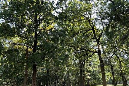 Wohnen auf Zeit Nürnberg Hasenbuck - 1 Zimmer, 16 m&sup2;, 490&euro; | Angebot:25570542