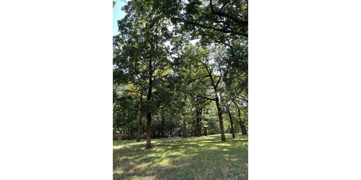 Wohnen auf Zeit Nürnberg Hasenbuck - 1 Zimmer, 16 m&sup2;, 490&euro; | Angebot:25570542