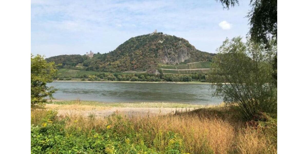 Etagenwohnung Remagen - 5 Zimmer, 130 m&sup2;, 1.560&euro; | Angebot:24558112