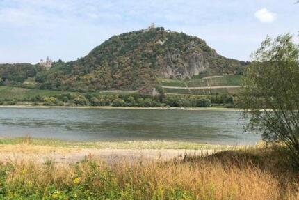 Wohnung Remagen - 5 Zimmer, 130 m&sup2;, 1.560&euro; | Angebot:24558112