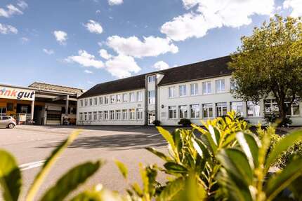 Halle in Leichlingen 1.182,40 € 298 m² zimmer