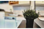 Wohnen auf Zeit Mannheim Neckarstadt-Ost - 1 Zimmer, 21 m&sup2;, 969&euro; | Angebot:26213565