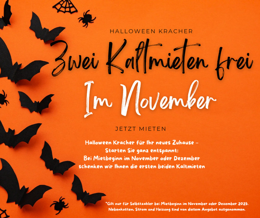 Wohnung zum wohlfühlen mit großem Balkon - Jetzt Halloweenkracher nutzen und zwei Kaltmieten sparen. zimmer