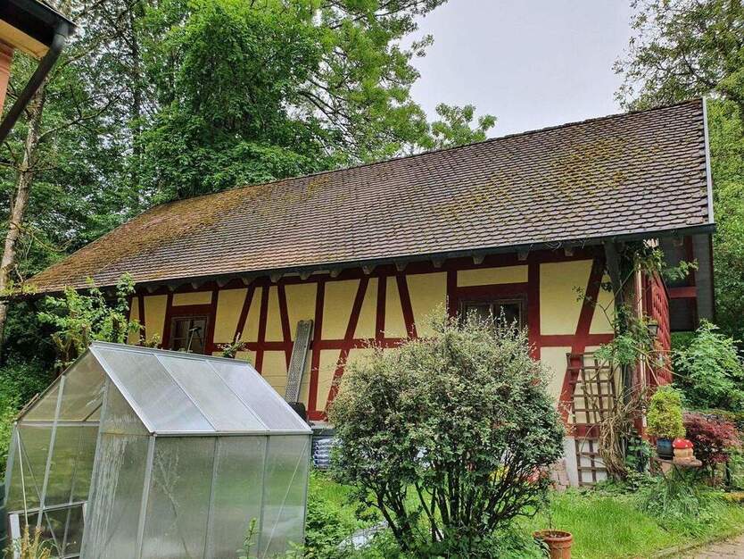 Wohnen im Grünen 2 zimmer