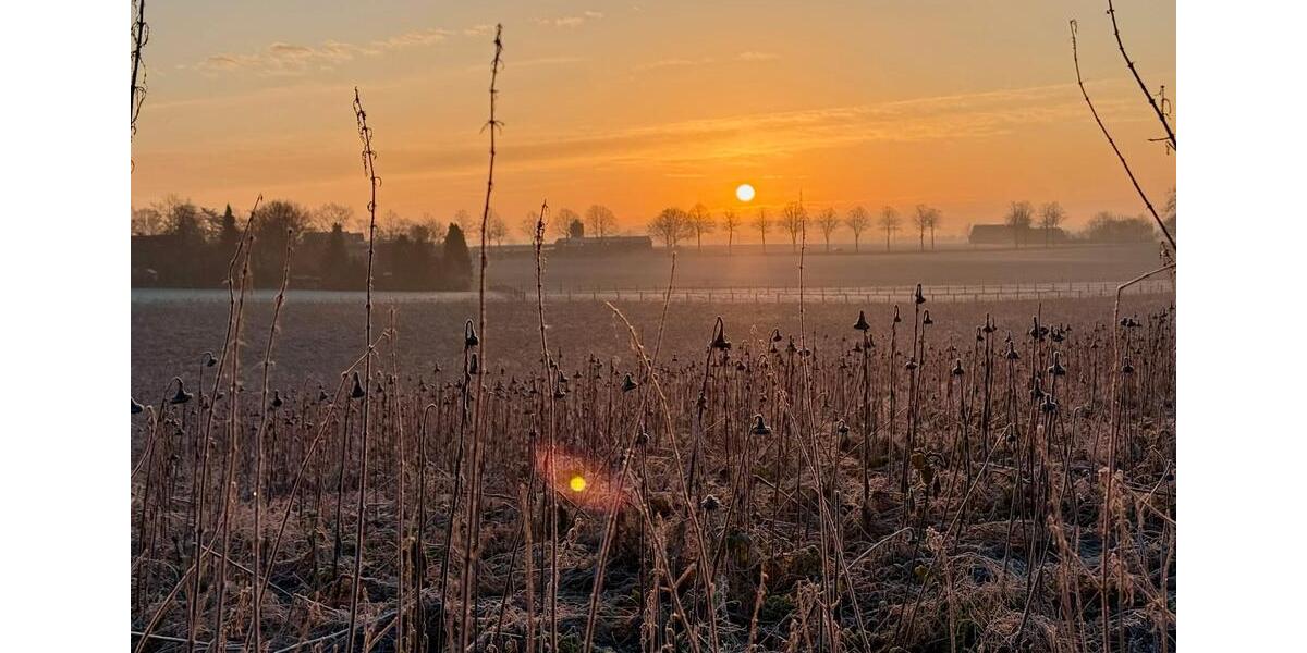 Terrassenwohnung Bad Iburg - 1.5 Zimmer, 62 m&sup2;, 900&euro; | Angebot:25026862