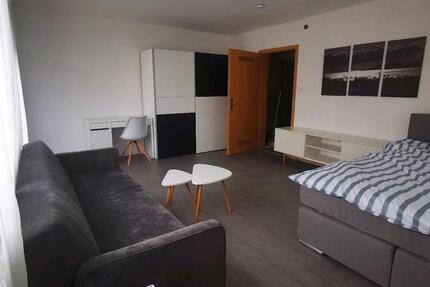 Wohnen auf Zeit Wolfschlugen - 1 Zimmer, 20 m&sup2;, 590&euro; | Angebot:26230409