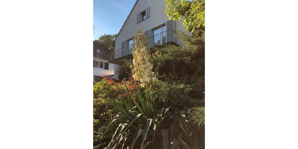 Wohnen auf Zeit Mönchengladbach Nord - 2 Zimmer, 950&euro; | Angebot:23542793