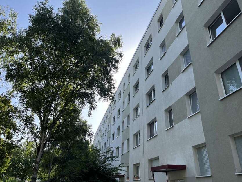 Wohnung zum Mieten in Halle (Saale) 420 € 66.45 m² 4 zimmer