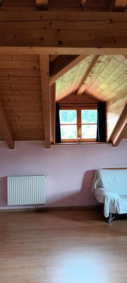 grosses WG Zimmer frei ab sofort