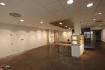 Zentrale Bürofläche in Kassel – 135 m² im 1. OG