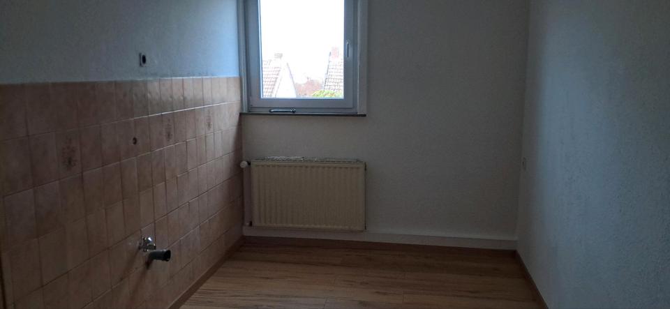 4 Zimmer Wohnung am Moritzberg in ruhiger Lage zu vermieten 4 zimmer