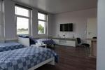 Wohnen auf Zeit Hannover Herrenhausen-Stöcken - 1 Zimmer, 40 m&sup2;, 11&euro; | Angebot:26544459