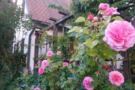 1 WG Zimmer in 120 m² Haus mit Zaubergarten 3 zimmer