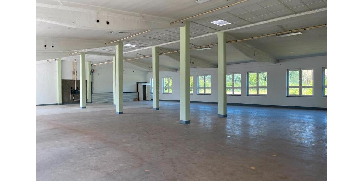 Gewerbeobjekt Rochlitz - 1.460&euro; | Angebot:13889572