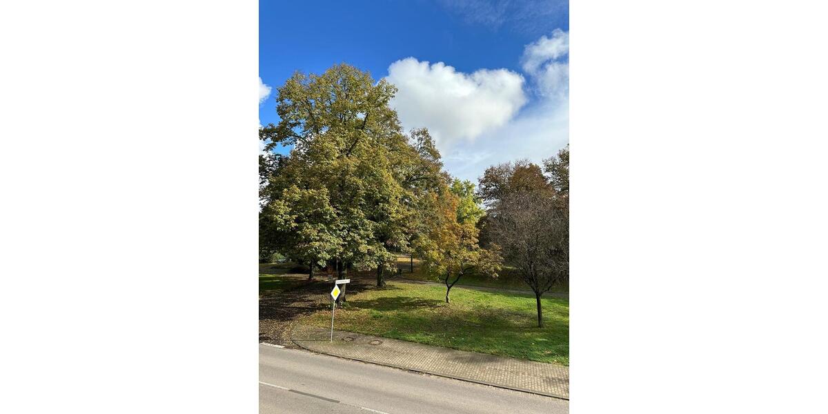 Etagenwohnung Völklingen - 2 Zimmer, 60 m&sup2;, 450&euro; | Angebot:26048633