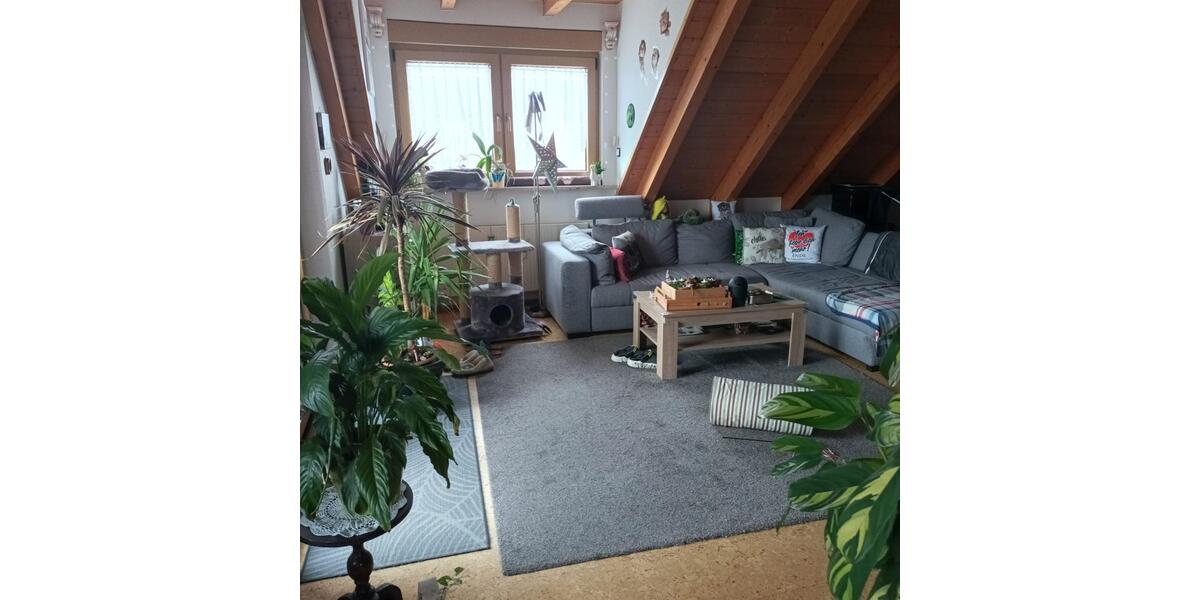 Etagenwohnung Herrieden - 3 Zimmer, 150 m&sup2;, 1.080&euro; | Angebot:24246228